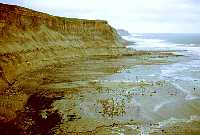 North Sea from Ness Point