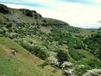 Craig y Cilau Nature Reserve