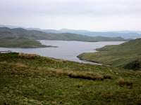 Llyn Teifi