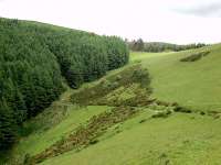 Entering forest at Nant y Fedw