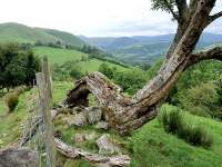 Towards Mallwyd