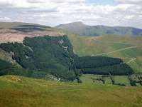 Arans from Maesglase