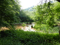 Blaen Blan Reservoir