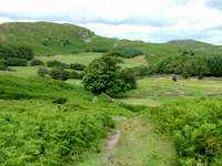 Wool Knott from Cumbria Way near Cockenskell