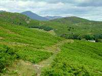 Wool Knott and Bowder Knott from near Cockenskell