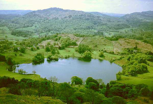 Loughrigg Tarn from Loughrigg Fell