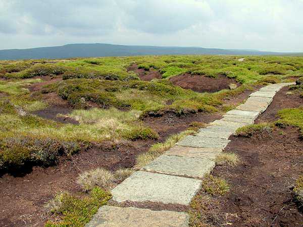 Flagstone Path over the Peaty Bogs of Featherbed Moss
