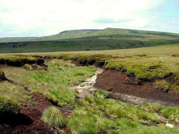 Bleaklow from Hope Woodland Moor