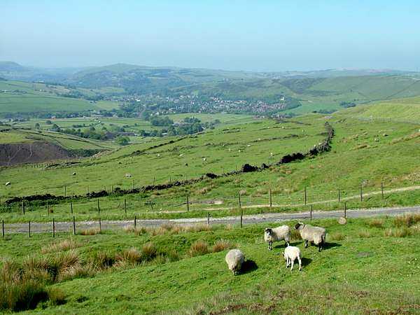 View back to Diggle from Standedge