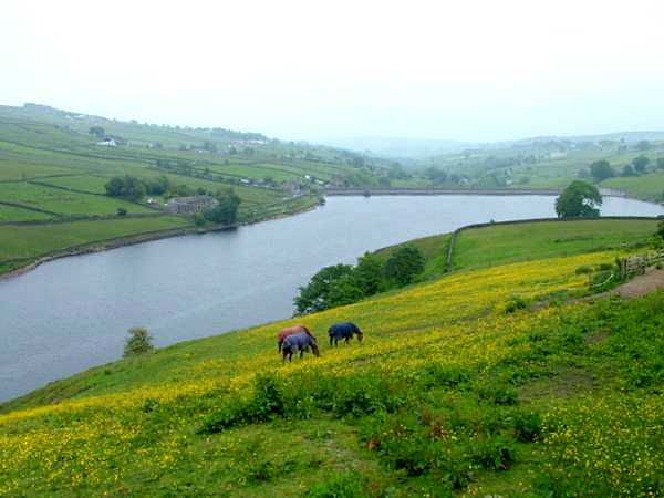 Ponden Reservoir