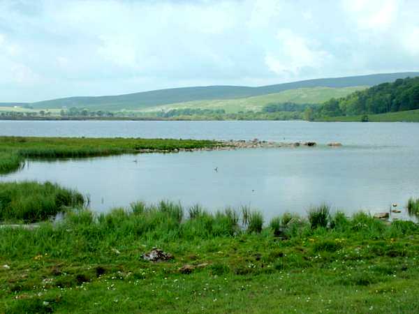 Malham Tarn