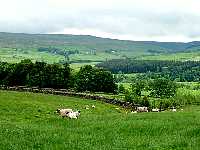 River South Tyne Valley