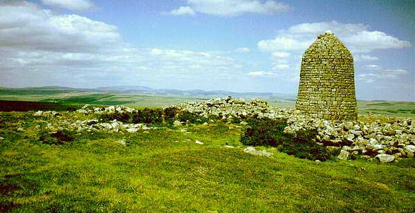 Looking towards The Cheviots from Padon Hill