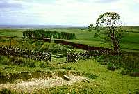 Looking West from Hareshaw House
