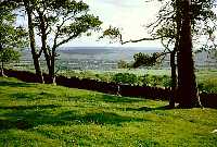 Overlooking Bellingham from the hill