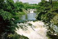 River Tees at Low Force