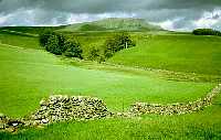 Penyghent from near Horton-in-Ribblesdale