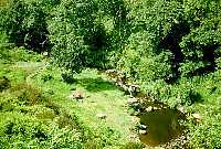 Colden Clough