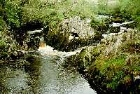 Loups of Barnshangan waterfalls, where I doubled
back into New Luce for the night