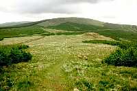 Benbrack from Manquhill Hill