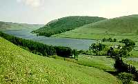 St Mary's Loch and Tibbie Shiels Inn from hillside