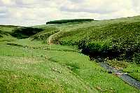 Footbridge over Blythe Water on Way to Twin Law