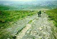 Dhoul's Pavement on Blackstone Edge